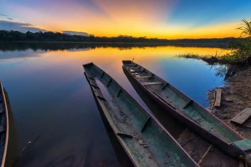 madidi national park bolivia