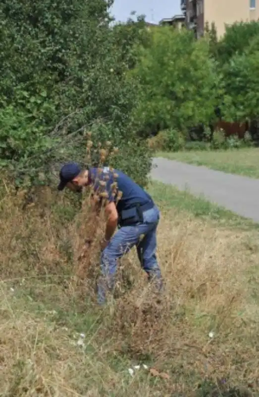 ottantenne violentata a milano parco nord  1