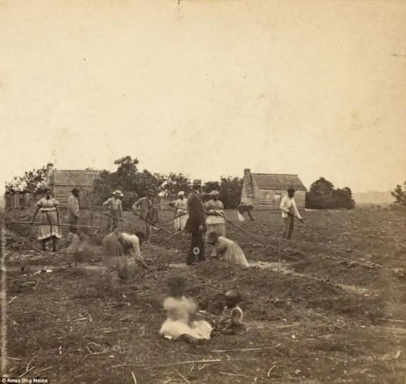 schiavi south carolina 1863