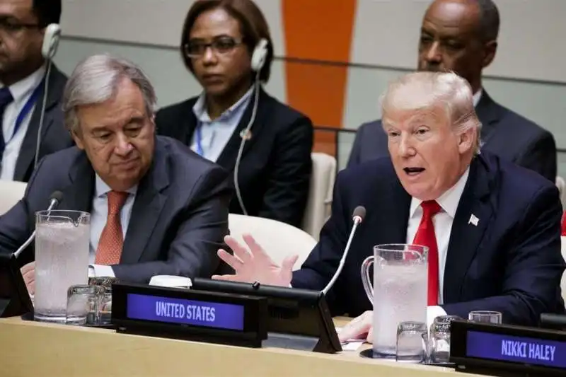 TRUMP ALL ONU