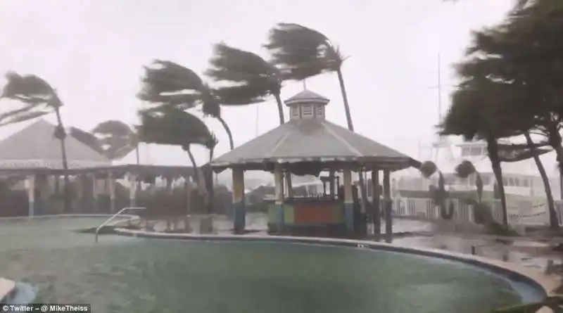 uragano irma in florida  12