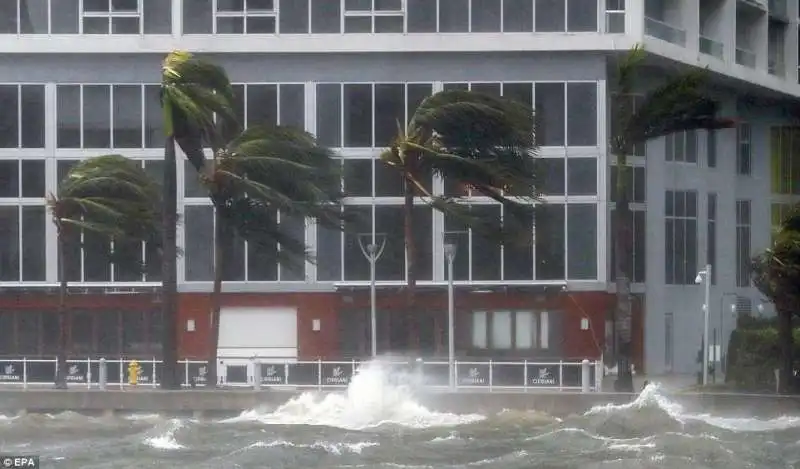 uragano irma in florida  5