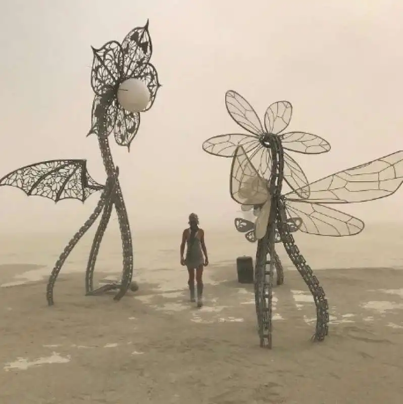 burning man 6