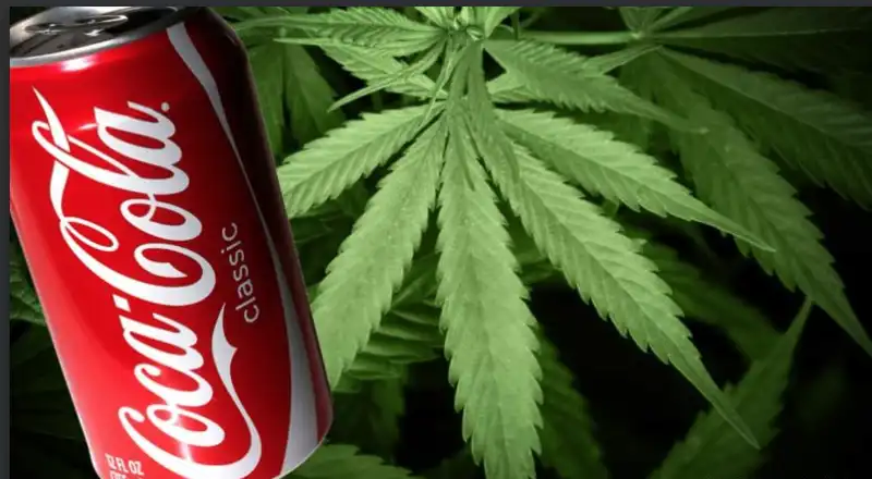 coca cola cannabis