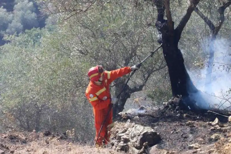 incendio monte serra 15