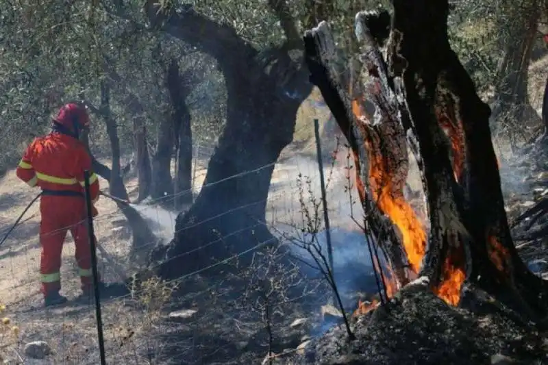 incendio monte serra 18