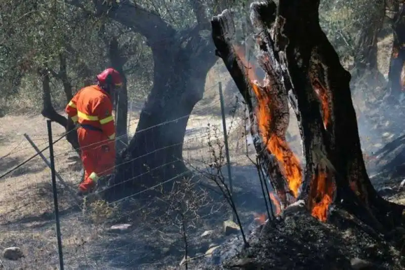 incendio monte serra 19