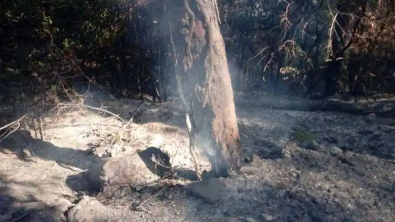 incendio monte serra 27