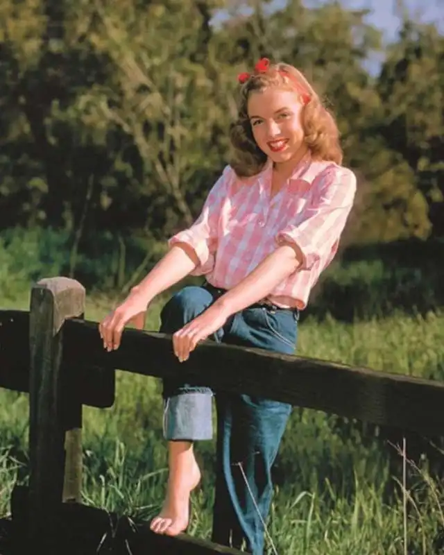 marilyn monroe 14