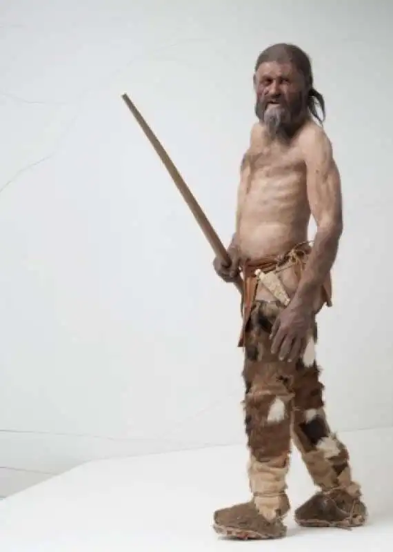 otzi 14