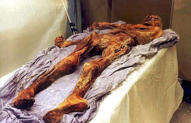 otzi 3