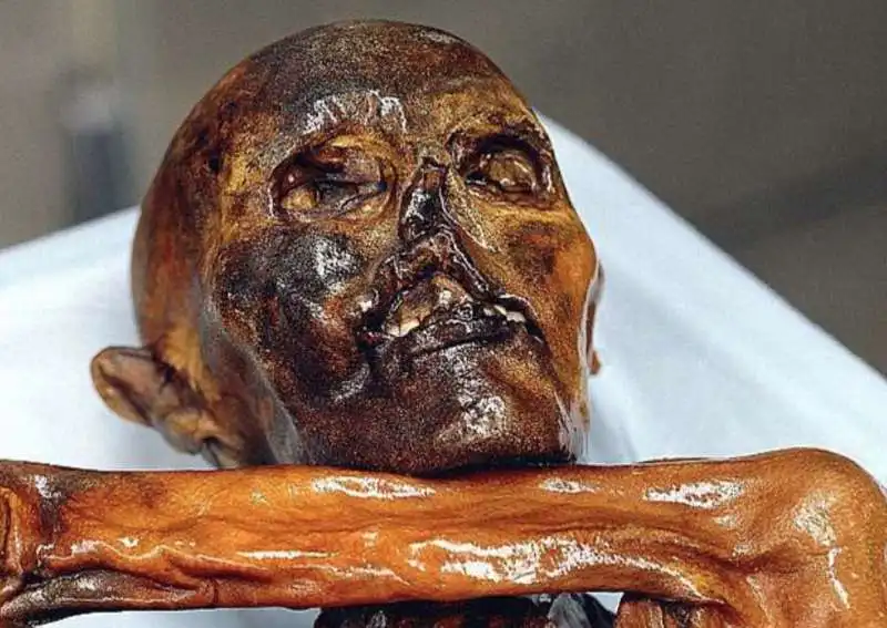 otzi 7