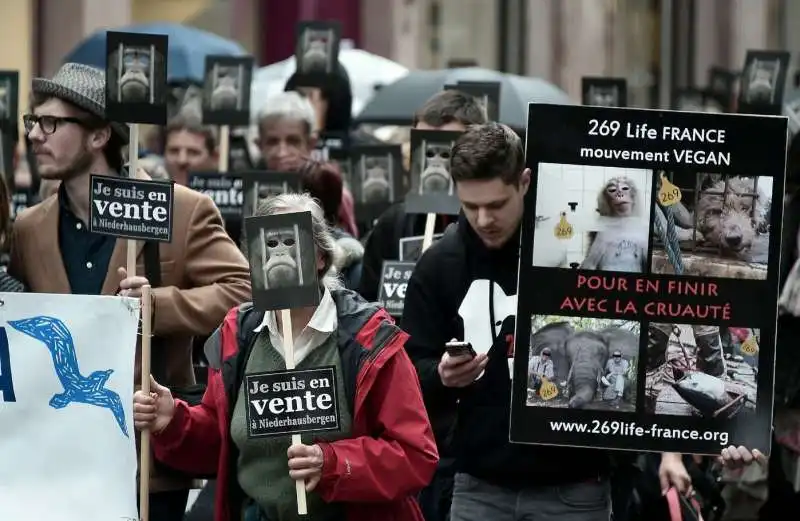 vegani in francia