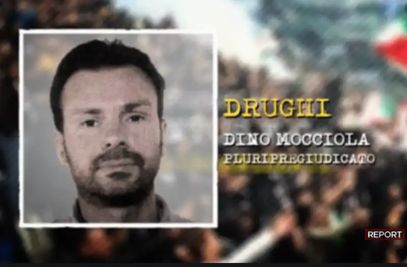 dino mocciola