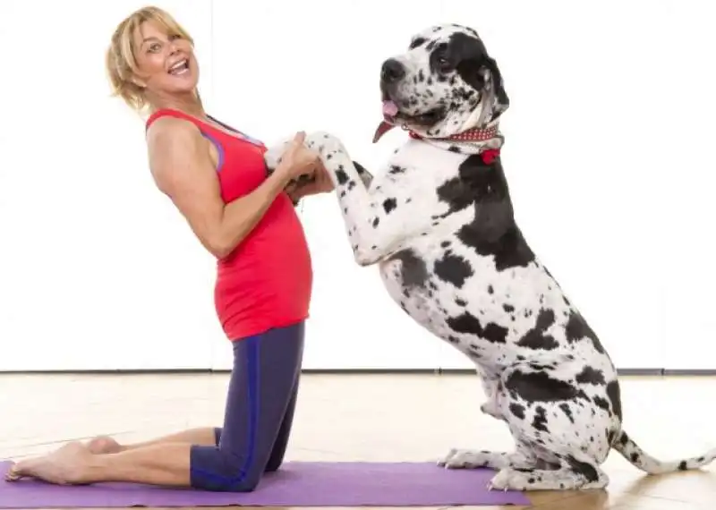 doga   lo yoga con i cani