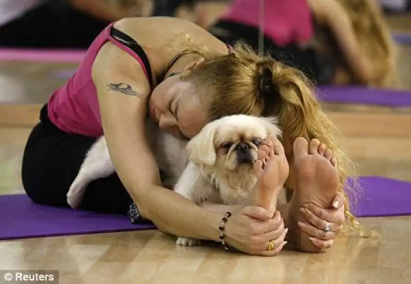 doga   lo yoga con i cani 6