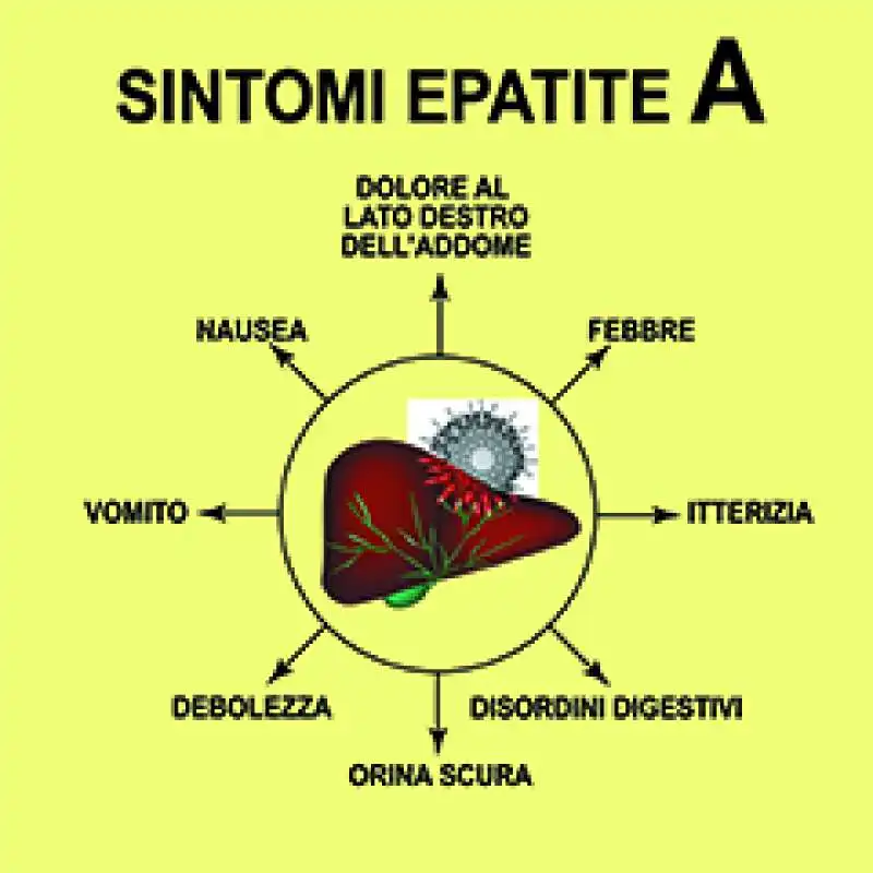 epatite a