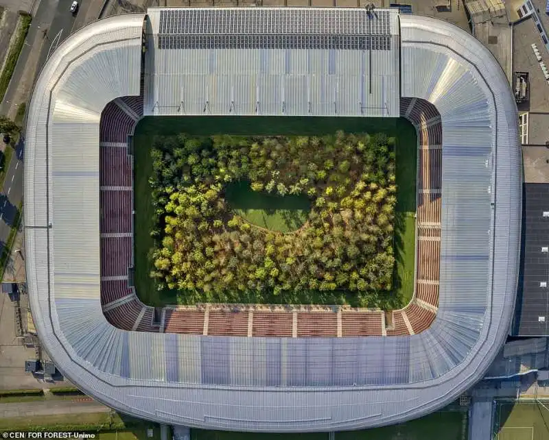 gli alberi piantati nel woerthersee stadio di klagenfurt 1