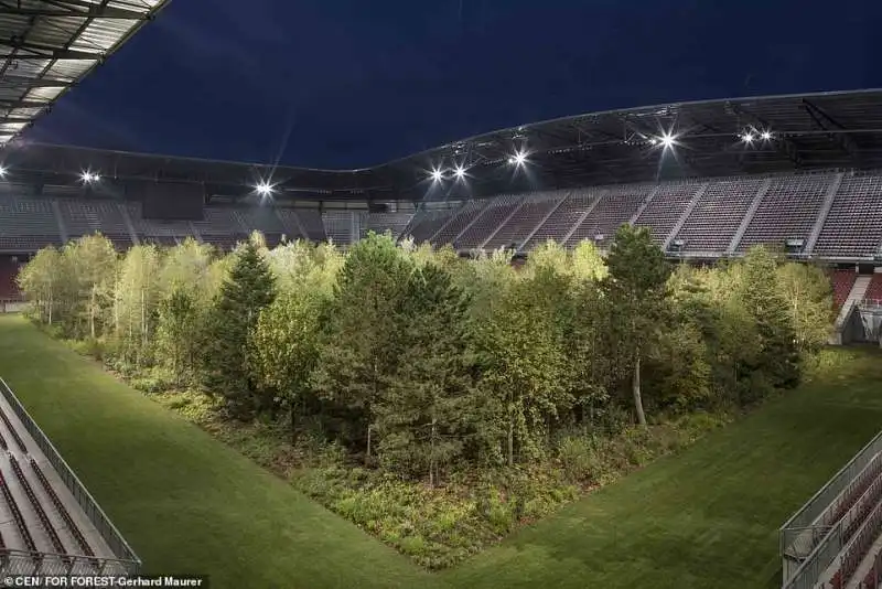 gli alberi piantati nel woerthersee stadio di klagenfurt