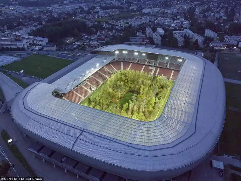 gli alberi piantati nel woerthersee stadio di klagenfurt 5