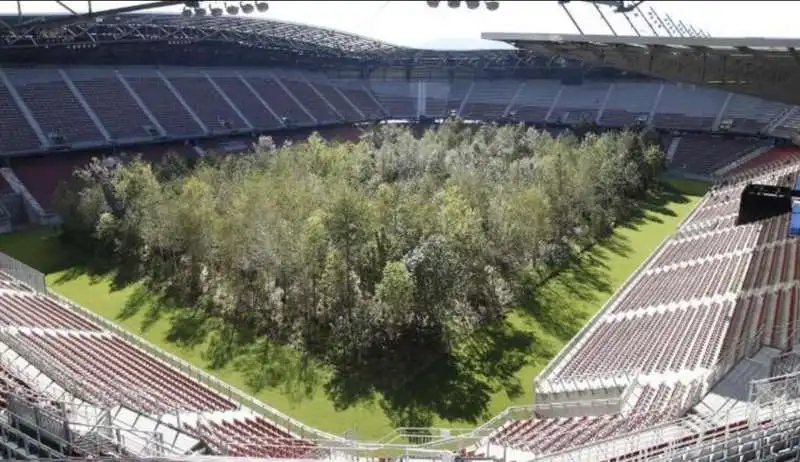 gli alberi piantati nel woerthersee stadio di klagenfurt 7