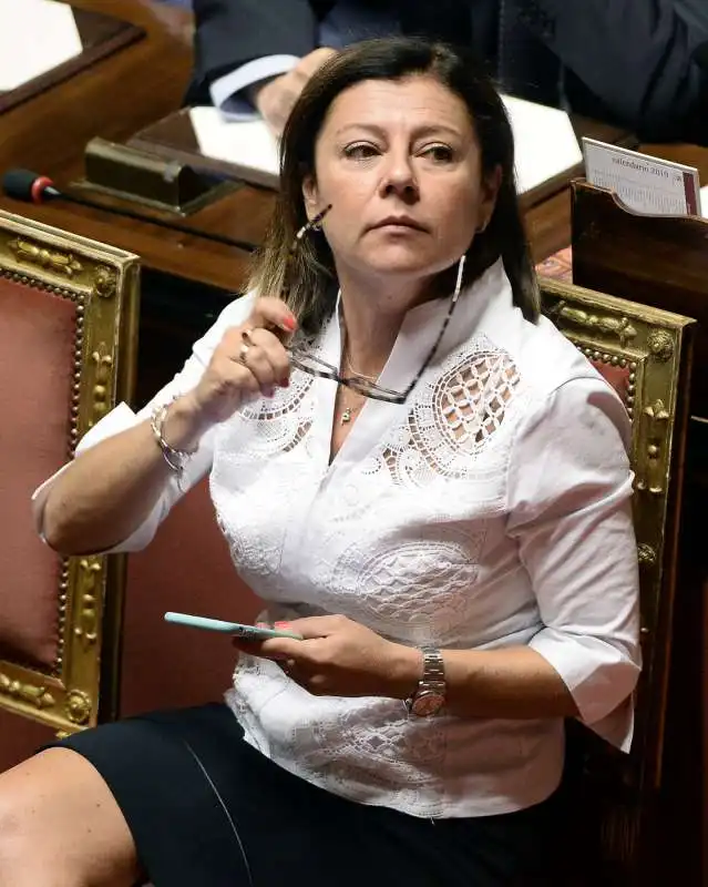 paola de micheli al senato