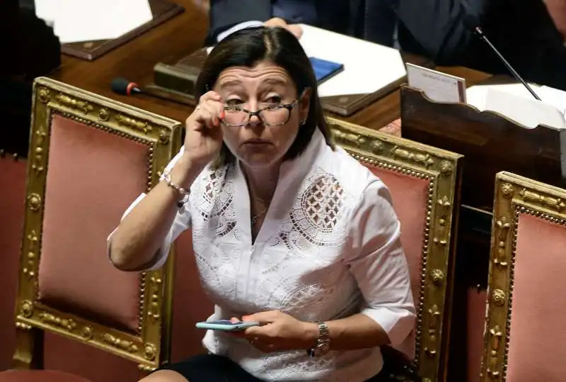 paola de micheli al senato 2