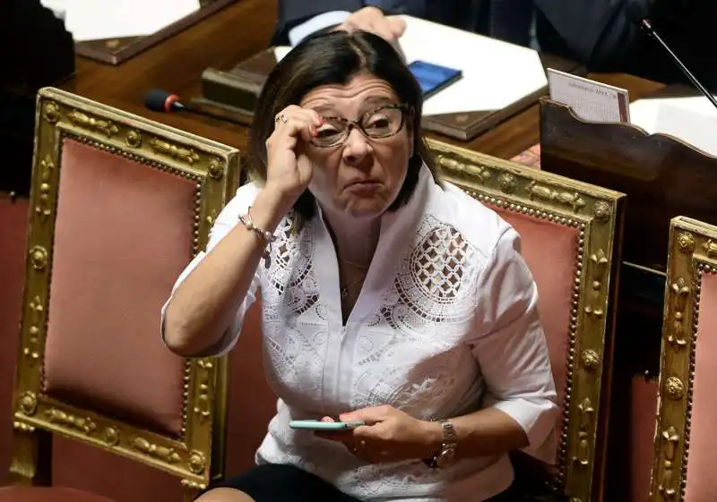 paola de micheli al senato 3