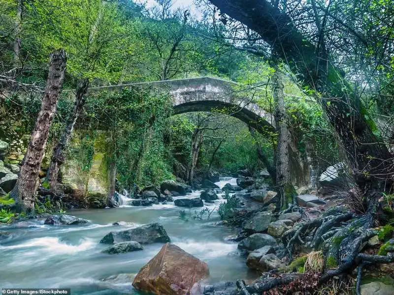 parque natural los alcornocales