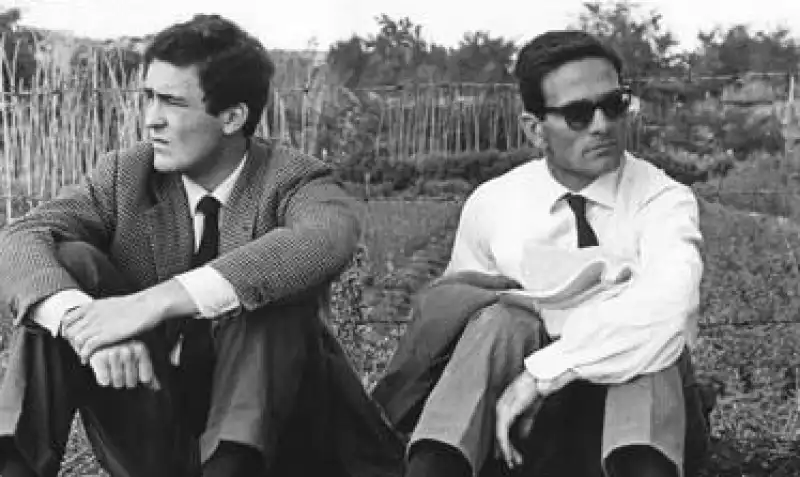 pasolini bertolucci