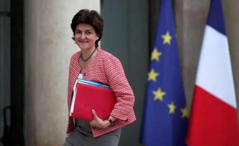 sylvie goulard 1