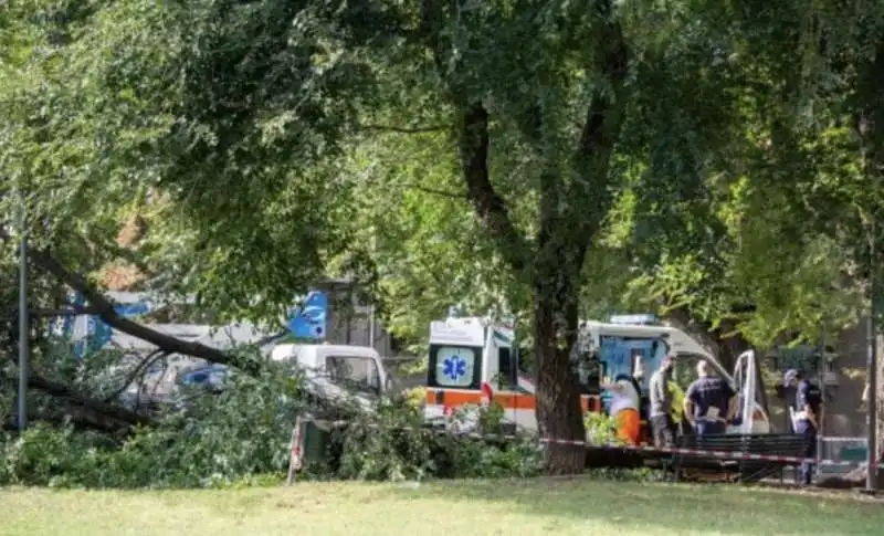 albero colpisce una donna in una panchina a milano  1