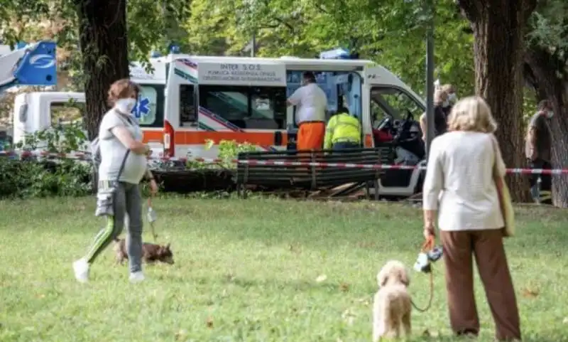 albero colpisce una donna in una panchina a milano  2