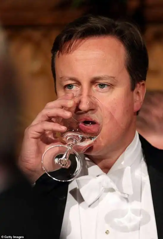 david cameron 1