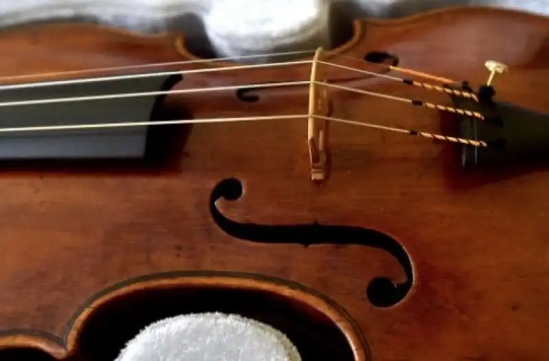 violino amati a casa del pusher 4