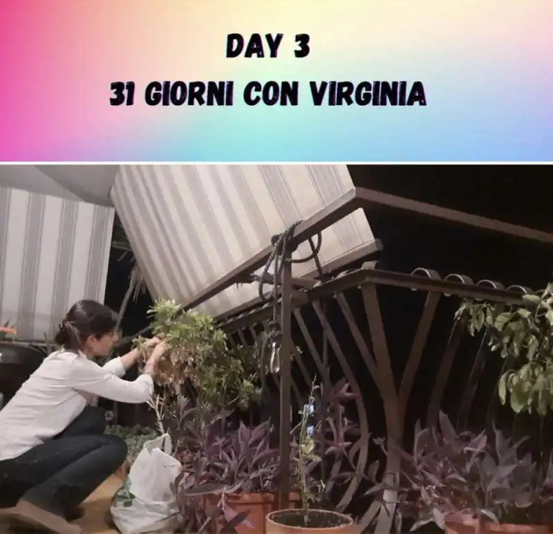 31 giorni con virginia  11