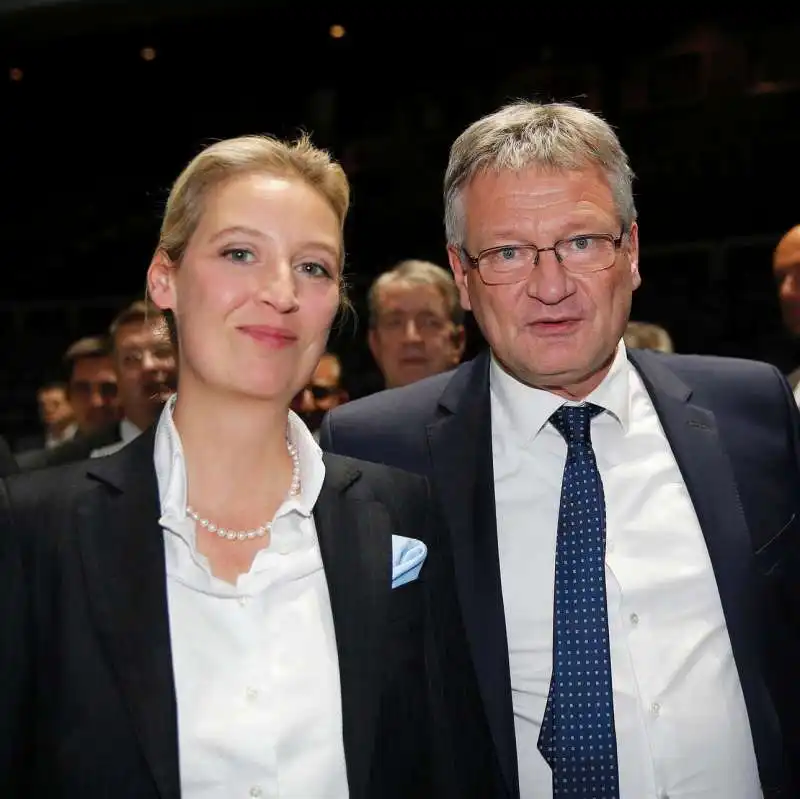 alice weidel jorg meuthen 