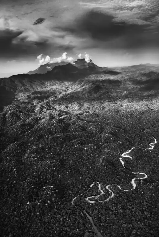 amazonia sebastiao salgado 5