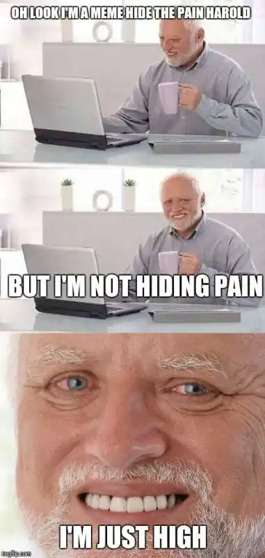 andras arato hide the pain harold meme8