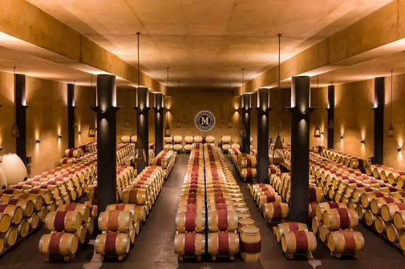 cantina monteverro 