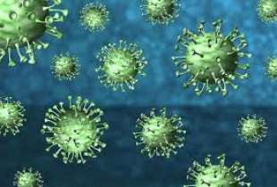 coronavirus 1