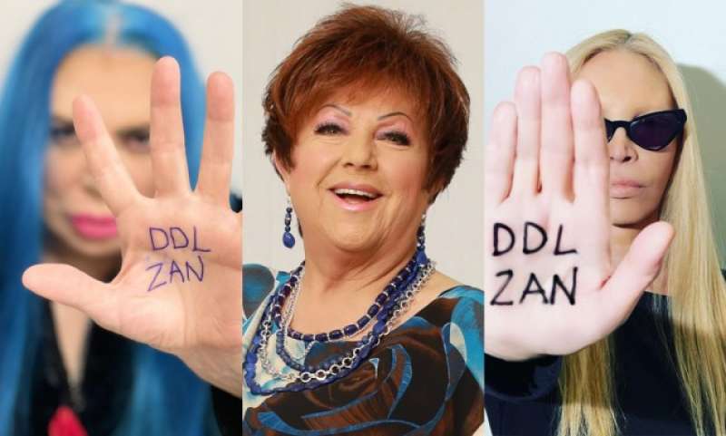 ddl zan 5