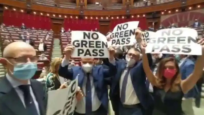 deputati di fratelli d italia contro il green pass 