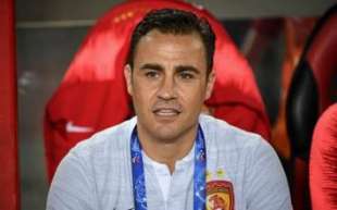 fabio cannavaro 2