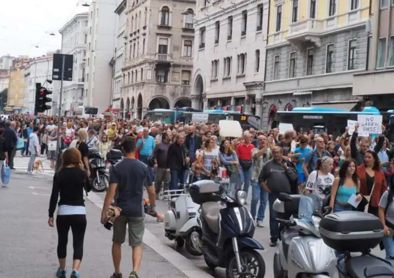 manifestazioni no vax 14