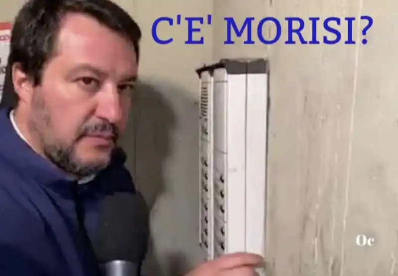 MATTEO SALVINI E LUCA MORISI MEME