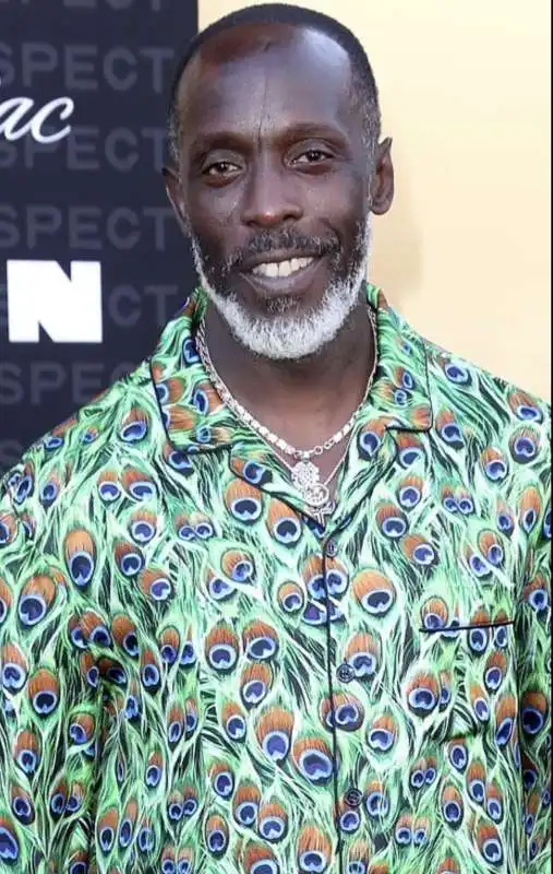 micheal k williams