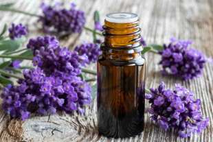 Olio essenziale di lavanda: virtù e pregi