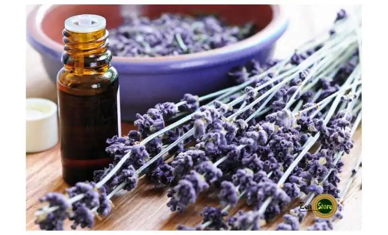 olio essenziale di lavanda 2