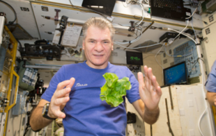 paolo nespoli 12